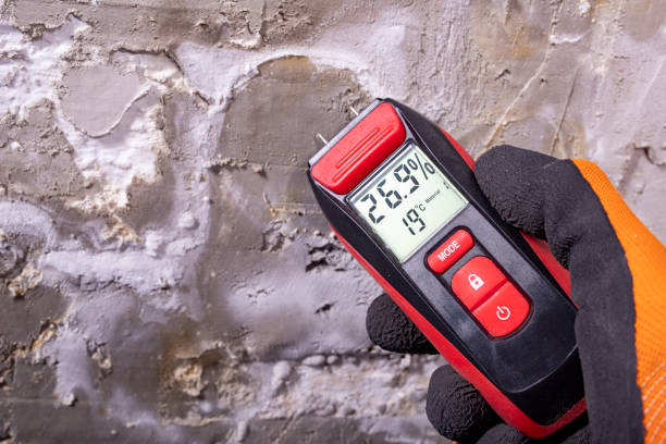 Best Bathroom Mold Remediation in Garden Grove, CA